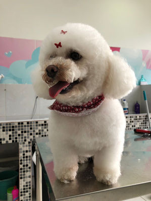 PHOTO-2022-11-20-23-39-53 4.jpg