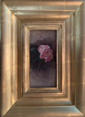 Pink Camellia