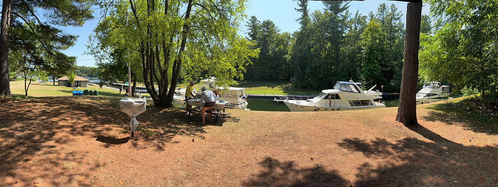 A lovely late afternoon picnic of wine, cheese and the company of friends.