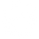 logo250.png
