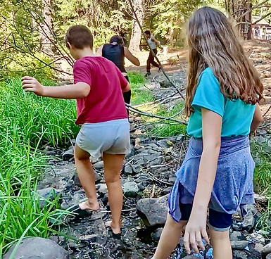 TVS students walking through a path during Fall in the Field Outdoor Education.