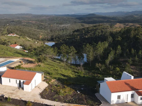 Potentially the Worst Mistake of My Life