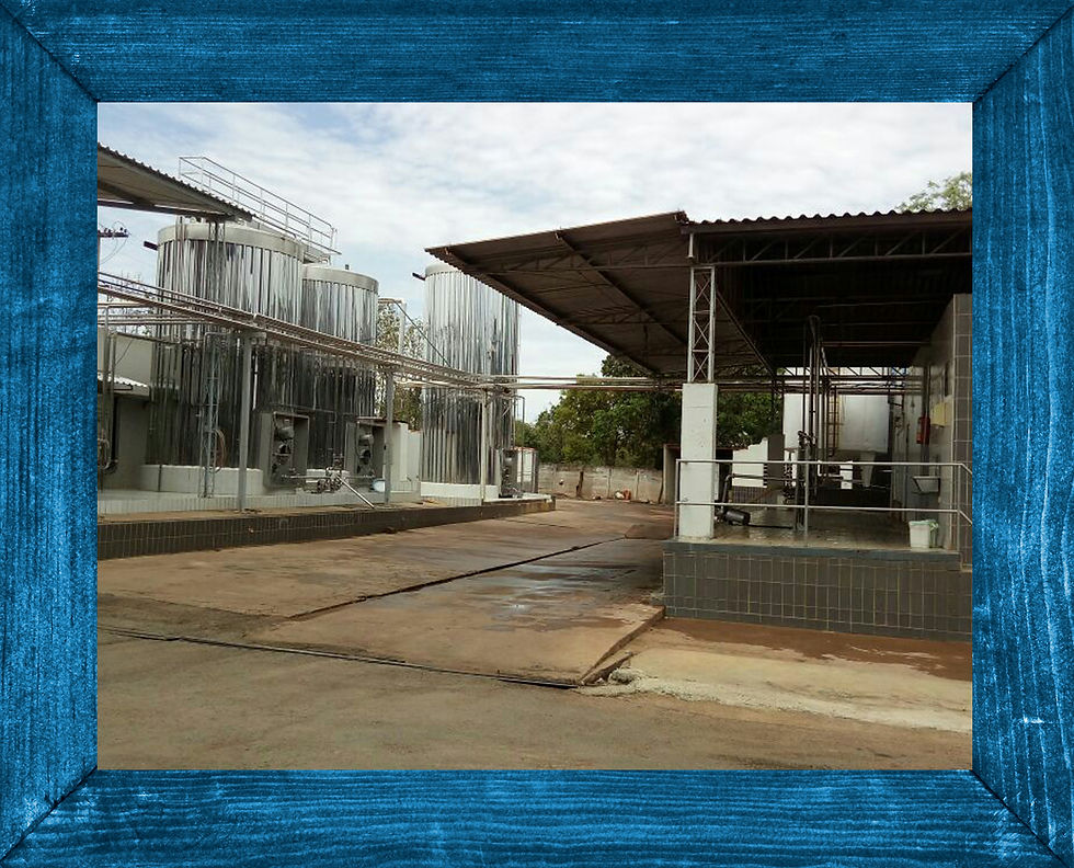 Lagamar - MG