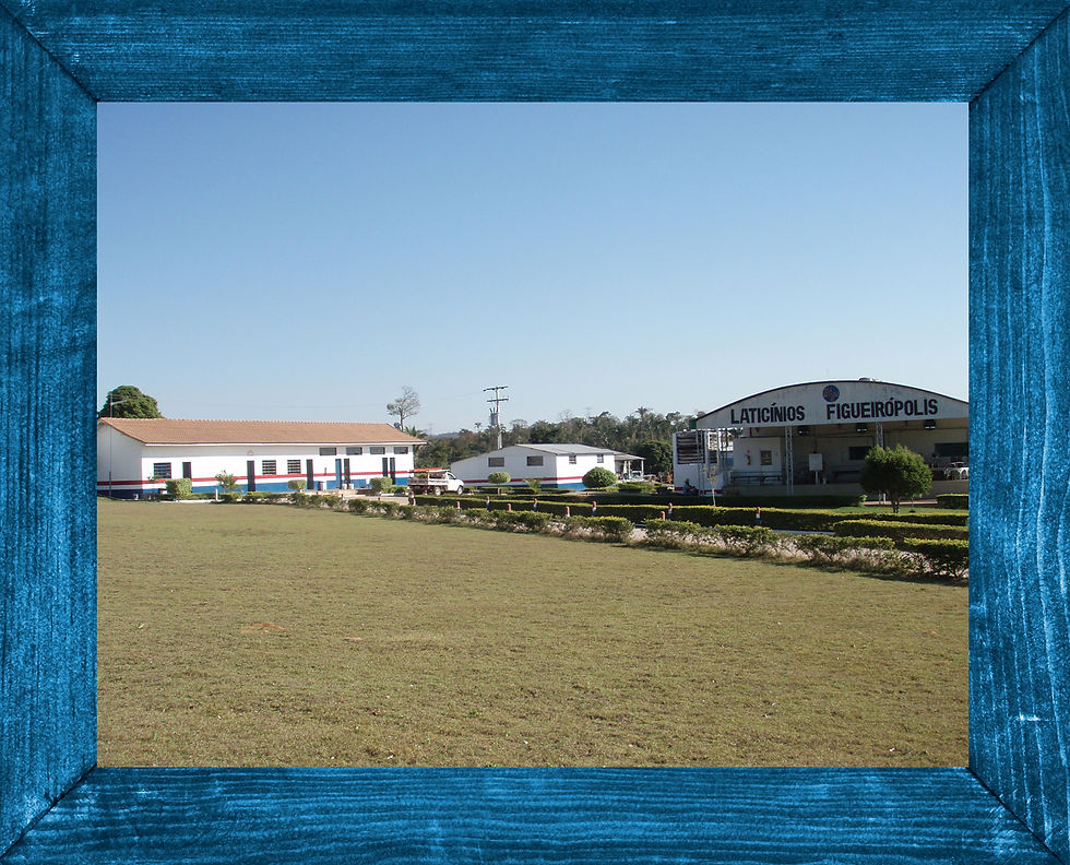 Figueirópolis - MT