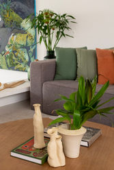 "grey sofa""colorful pillows""center table""wood center table" "art"