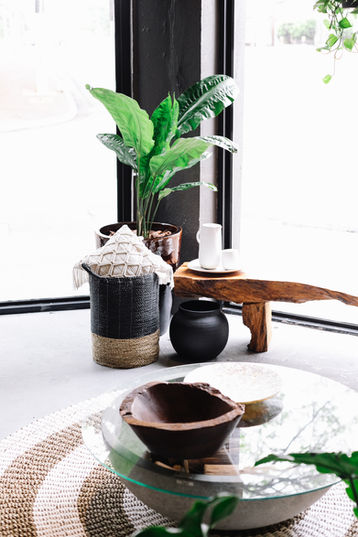 "wood bench" "hanging plants" "toro vine" "Epipremnum aureum"