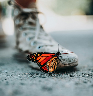 nathan-dumlao-mNLymMqX7iE-unsplash.jpg