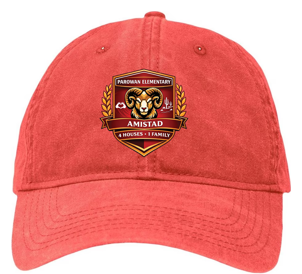 Amistad Dad Hat