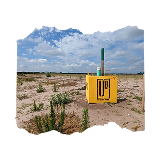 Untitled design (25).png