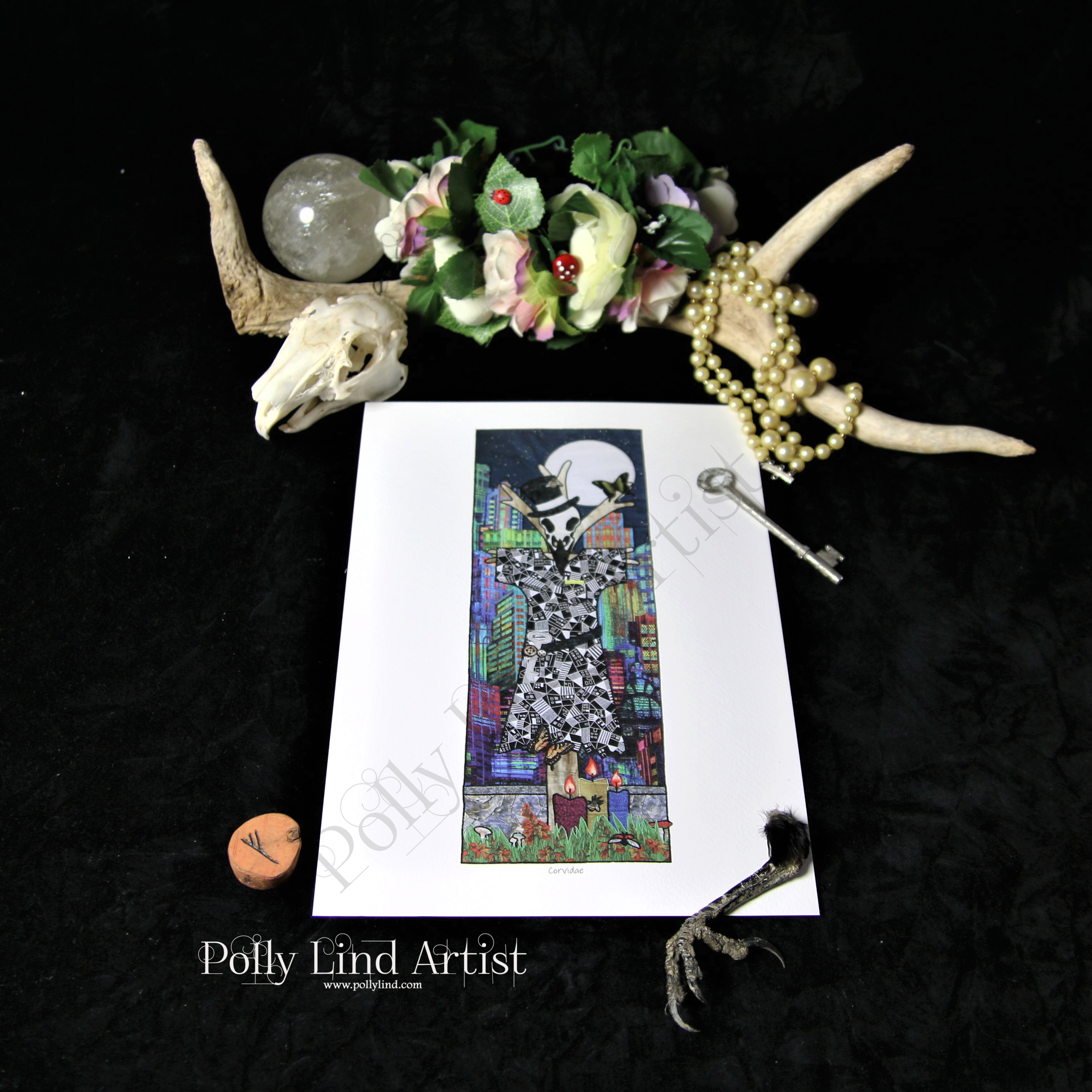 Corvidae Stang Postcard