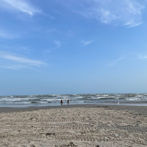 Texas is for the birds…