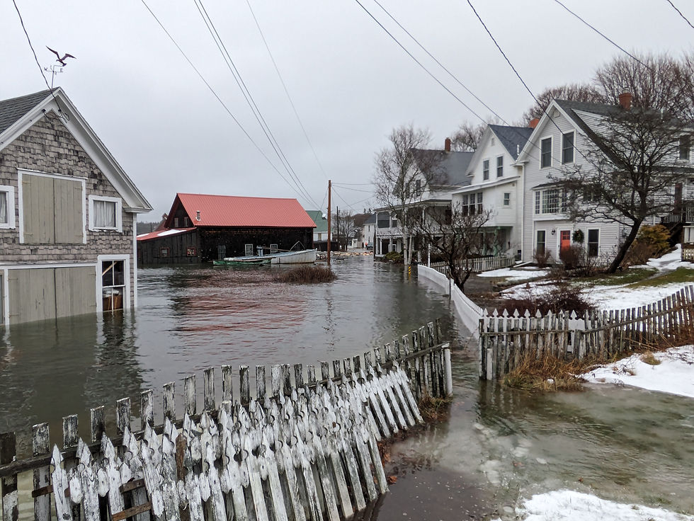 MIP Resilience Workshop 1: Introduction to Natural Hazards and Land Use Planning
