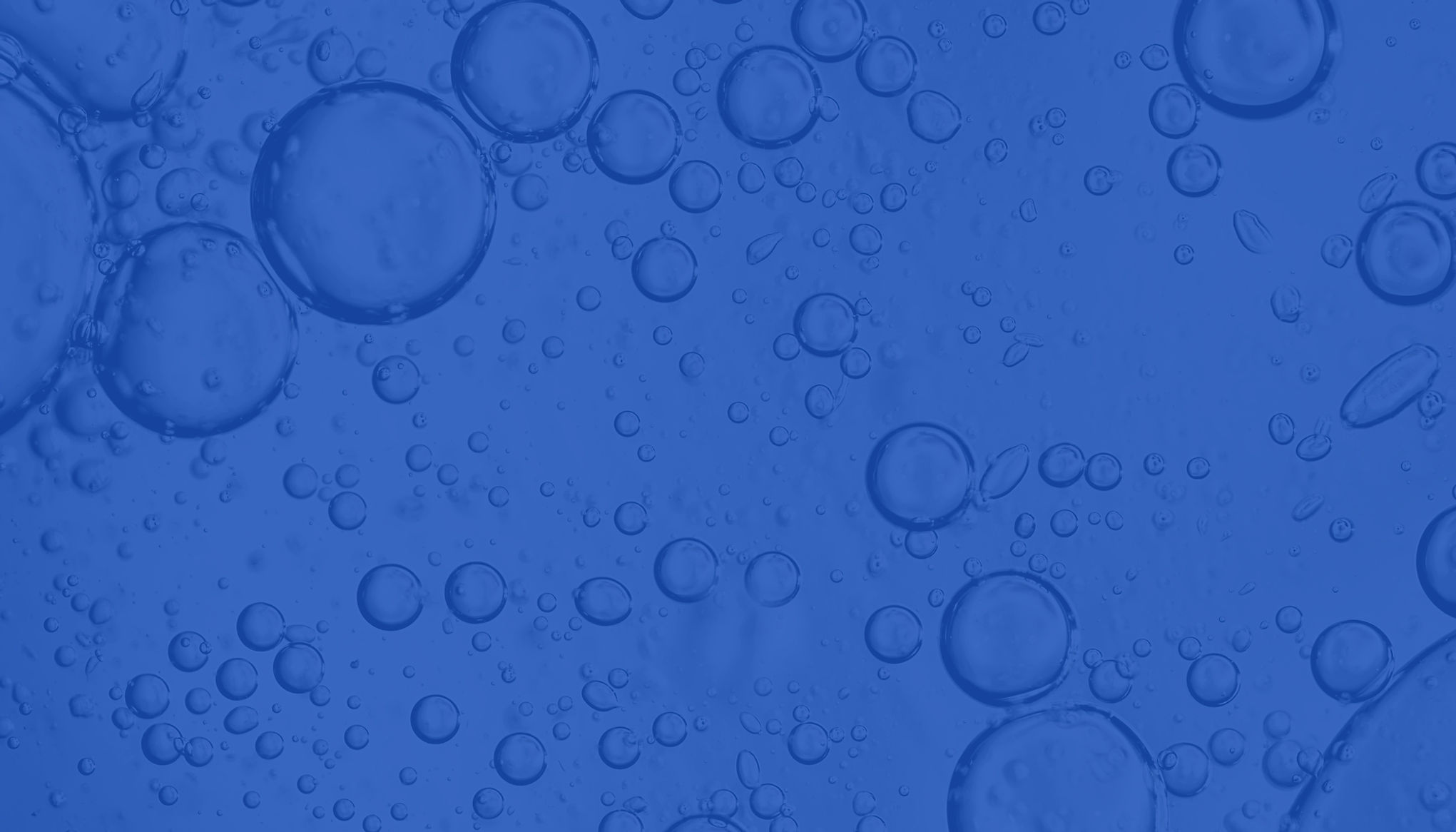 WW_Business Card (6).jpg