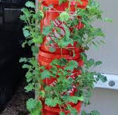 Grow Fresh, Sustainable Produce with The EcoGrow Hydroponic System