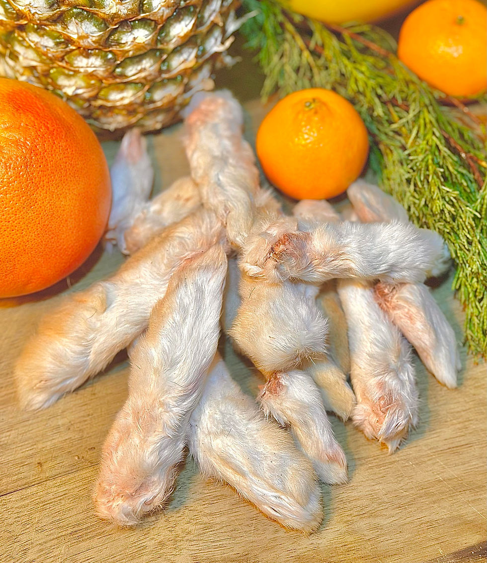 Thumbnail: Freeze Dried Rabbit Chews