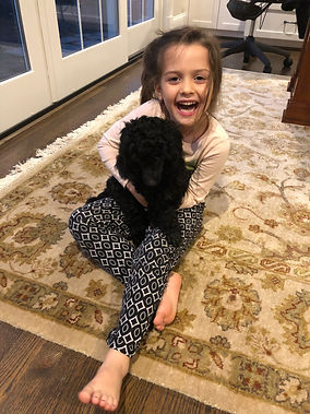 Extended Poodle Family Love