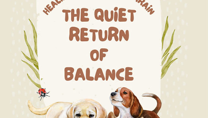 Healing the Thyroid Terrain