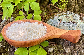Freeze Dried Raw Goat's Milk