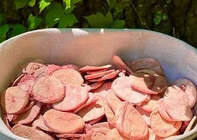 Rocky Mountain Oyster Chips