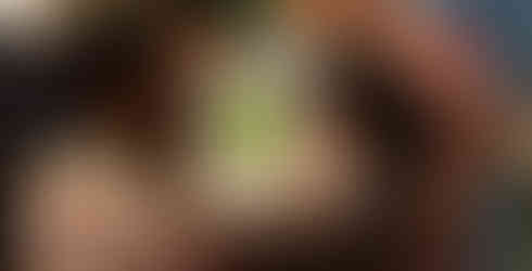 Family embraces young artist in the art gallery at the Public Works Opening Reception