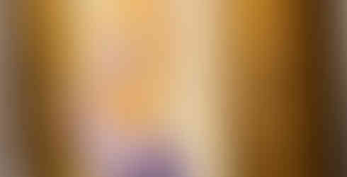 A close-up, angled shot of an oil painting housed in an ornate, heavily carved gold frame. The painting depicts a surreal subject: a pale purple duck with its head poking through a central hole in a slice of white bread. The lighting is soft and warm, highlighting the texture of the paint and the intricate floral patterns of the gilded frame.