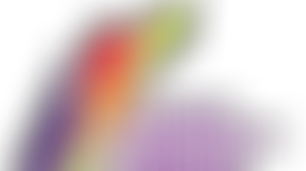 Logo for Rapid Response Funding, featuring a stylized upward-growing arrow composed of purple, orange, red, and lime green lightning bolt shapes.