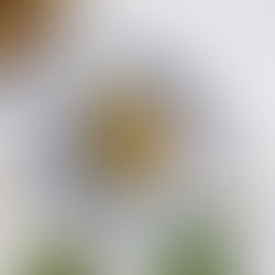 Hasselback Potatoes with Lemon Yogurt & Parsley Pesto