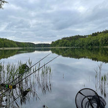 Galeria - 2022.04.24 Niemka Duża