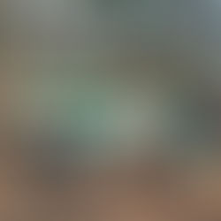 Galeria - 2022.09.25 Dąbie Duże