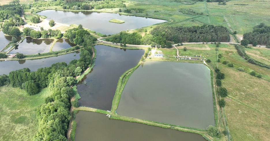 Aerial view of ponds, green fields and trees. Nowiniec Staw Nr 3 PZW Stelmet.