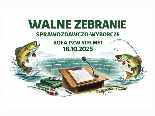 Komunikat o WZK 2025