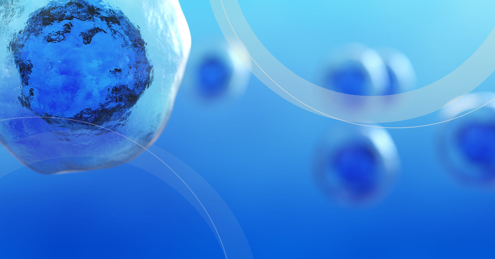 What Are Stem Cells Types And Functions Explained what-are-stem-cells-types-and-functions-explained