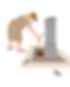 bj_romamania_people6.jpg