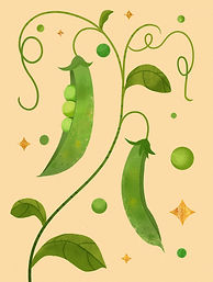 KH_Ingredients_illustration10_v1.jpg
