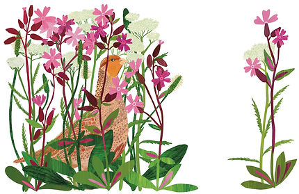 Bird and flowers.jpg