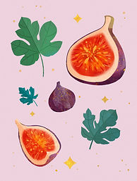 KH_Ingredients_illustration13_v1.jpg