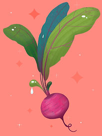 KH_Ingredients_illustration1_v1.jpg