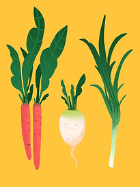 KH_Ingredients_illustration8_v2.jpg