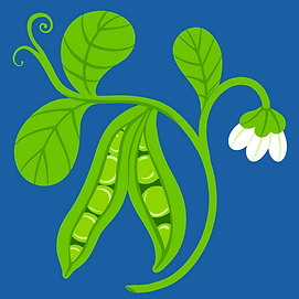 LM_Boardbook_illustration4_v2.png
