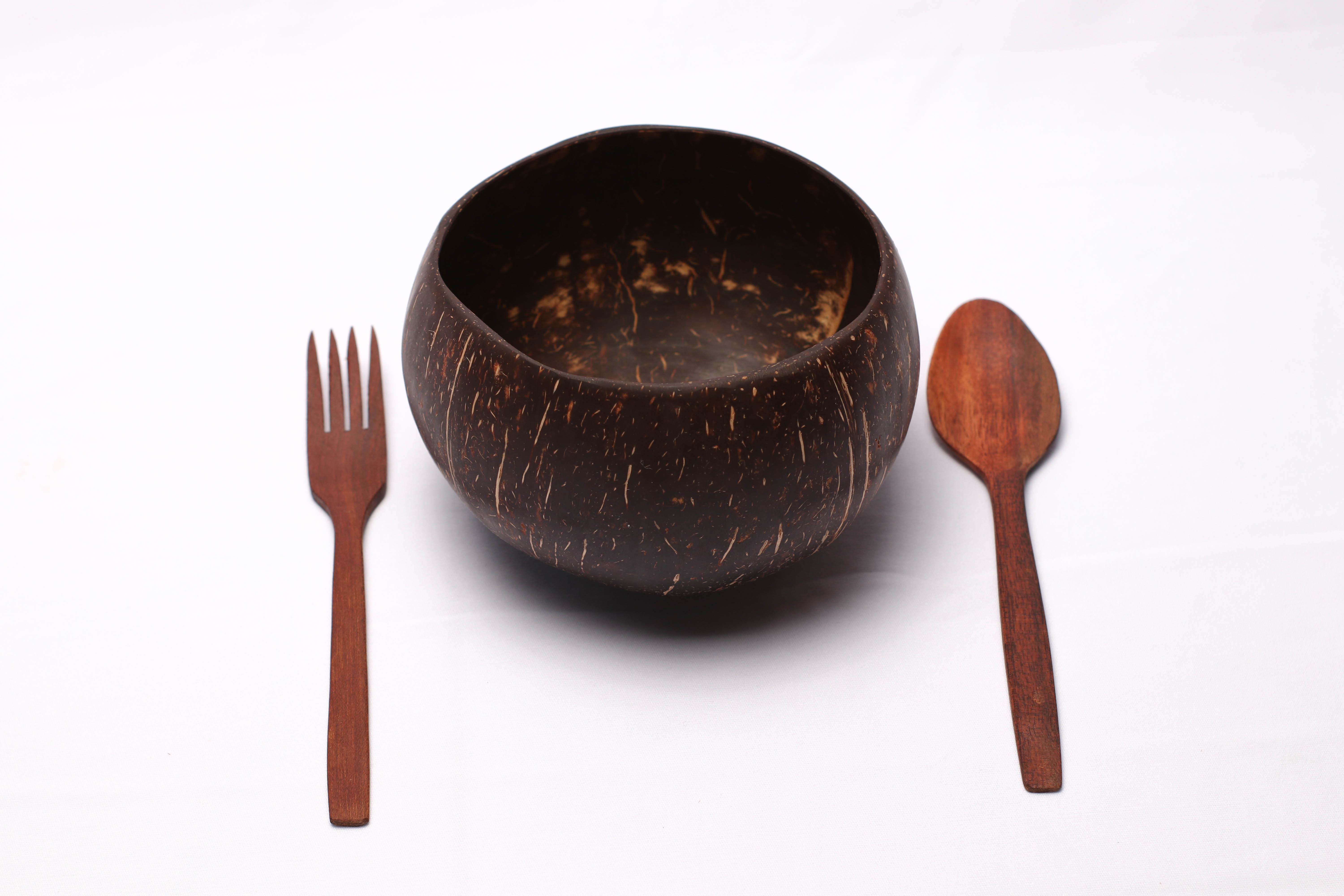 Single package,1 coconut bowl and spoon and fork made of tumerick tree