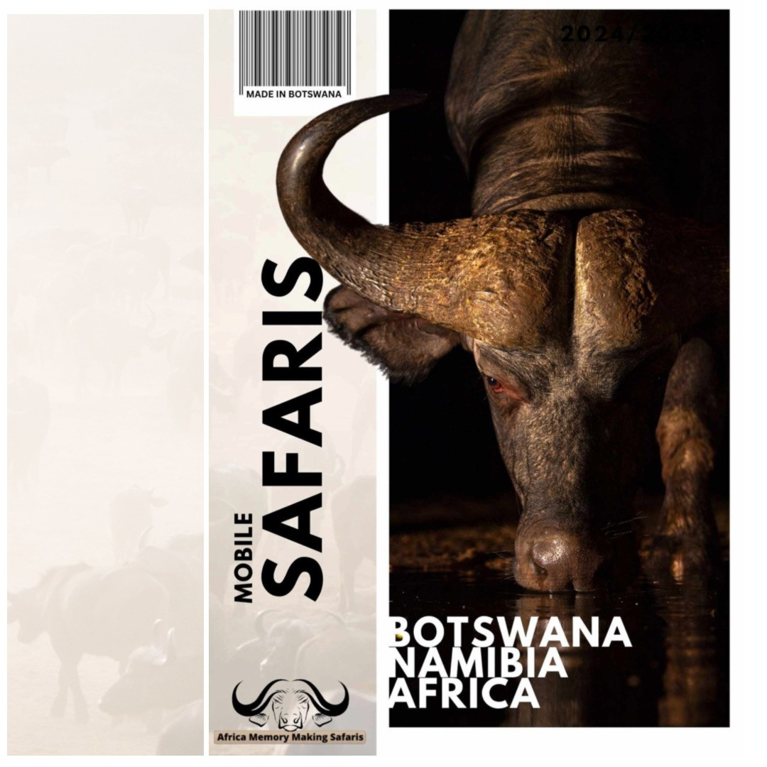 Guided Tours & Southern African Overland
