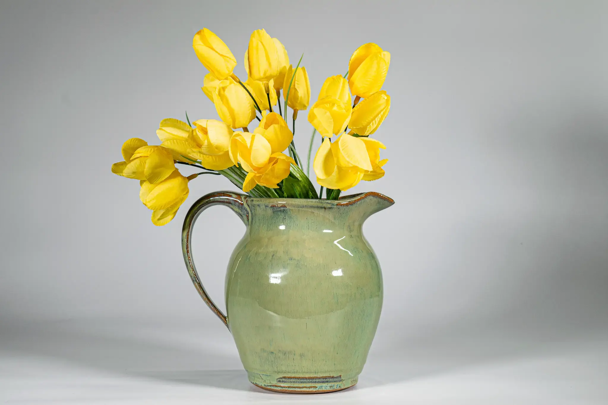Bellied Pitcher