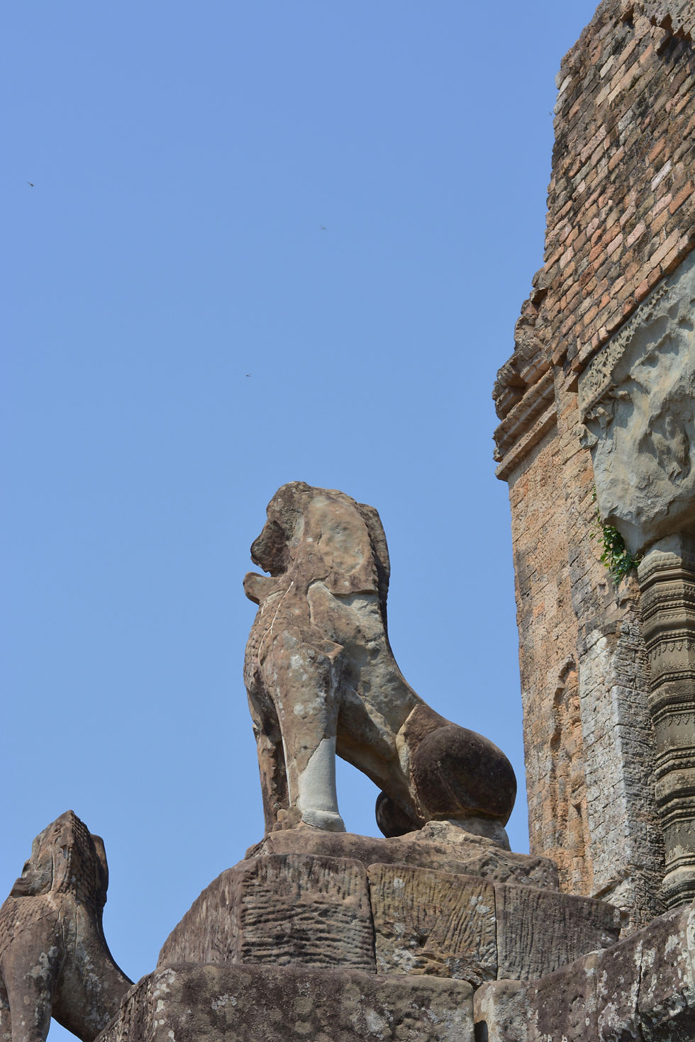 DSC_0802.jpg