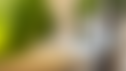 ネット予約の不具合について