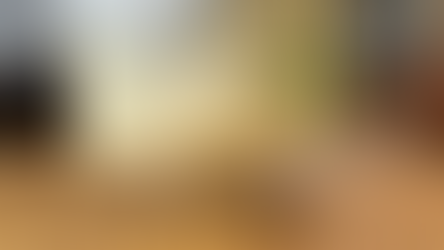 整体ギフト始めました🎁