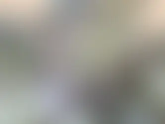 How to Get Rid of Mealybugs on Succulent Plants