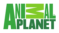 Animal-planet-logo.png