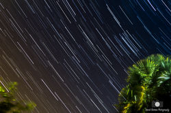 star-trail-backyard-june-14-2015-2_26739333446_o