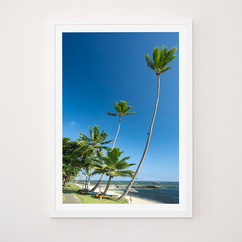 Thumbnail: Curved palms, Coral Coast, Fiji - FRAMED
