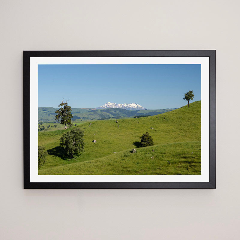 Thumbnail: TAIHAPE FARM 3, NZ - FRAMED